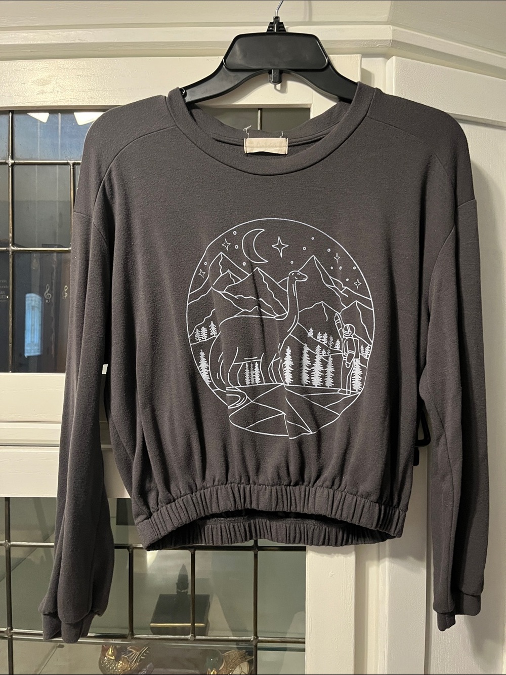 Altar'd State Charcoal Gray Graphic Cropped Sweatshirt